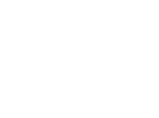 CAF Turnkey Engineering